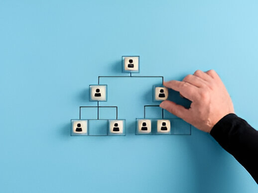 Management Structures
